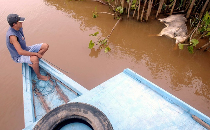 320 triệu gallons nước thải từ một nhà máy ở Minas Gerais làm ô nhiễm nguồn nước của 7 thành phố. Hơn 600.000 người dân không có nước sạch. (Nguồn: Techinsider)
