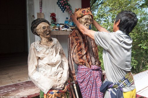 Ngoài ra, người Toraja còn có một nghi lễ mang tên Ma’Nene. Trong nghi lễ này, họ đào mộ, lấy xác rồi tắm, mặc quần áo, trang điểm rồi cho người chết diễu hành quanh làng. Nghi thức này diễn ra 3 năm một lần nhằm mục đích tưởng nhớ tới những người đã khuất.