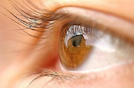 Bệnh nhân mắc bệnh tăng nhãn áp cũng không nên dùng vì tinh dầu có trong lá tía tô sẽ gia tăng áp lực lên đôi mắt. Người sắp phẫu thuật hoặc hay bị dị ứng cũng nên cẩn thận vì lá tía tô có thể gây tình trạng hôn mê kéo dài hoặc chóng mặt, nôn mửa.