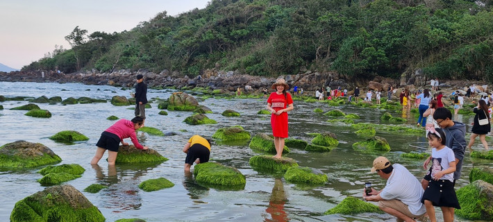 Giữa khung cảnh thiên nhiên hữu tình, thơ mộng xuất hiện nhiều phó nháy rất "có tâm" để có những bức ảnh sống ảo "cực chất".