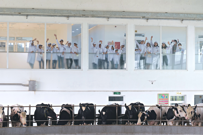 Nhưng có lẽ ấn tượng nhất với các em, chính là khu nhà vắt sữa “siêu to khổng lồ”. Từ đây, sữa sẽ được kiểm tra chất lượng và chuyển đến các nhà máy để sản xuất nên những hộp sữa Vinamilk bổ dưỡng. Tạm biệt trang trại, các em nhỏ đều tíu tít kể về những trải nghiệm thú vị sau một ngày tham quan, và các cô chú trong đoàn cũng không quên hứa rằng sẽ sớm mời các em đến khám phá các nhà máy của Vinamilk!