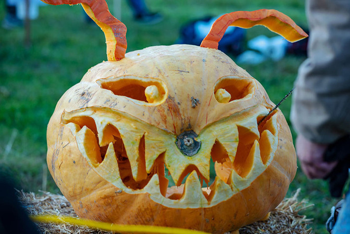 Đối với phương Tây, bí ngô là biểu tượng cho Halloween giống như không thể thiếu gà tây trong lễ Tạ ơn. Các trái bí ngô đều được khắc hình mặt người. Theo truyền thống, đèn lồng bí ngô được đặt trước cửa nhà, dẫn đường cho linh hồn, ma quỷ để chúng không quấy rầy chủ nhà. Ảnh: Shutterstock.