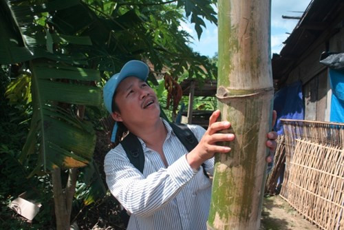 Những khúc tre “khủng” khiến nhiều người dưới xuôi lên đây phải tròn xoe mắt khi lần đầu nhìn thấy.