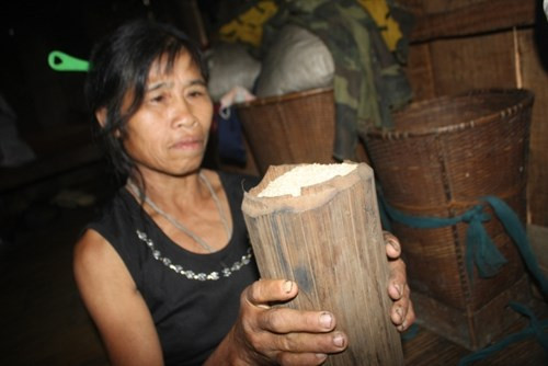 Tre được dân làng dùng để cất giữ lương thực, chống được mối mọt rất tốt.