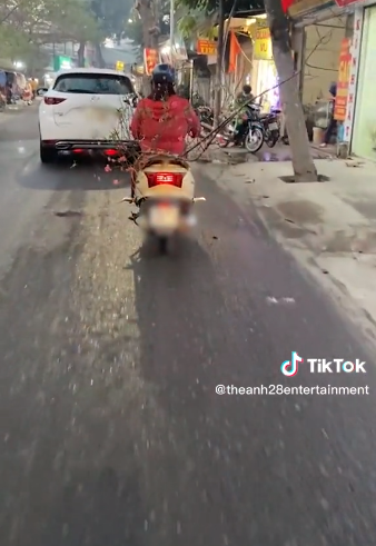 Ngay sau khi chia sẻ lên MXH, màn chở hàng cồng kềnh của cô gái này nhận được sự quan tâm của đông đảo cư dân mạng. Hầu hết đều ngán ngẩm với pha chở cây đào của nữ “ninja” này. Ảnh: Chụp màn hình