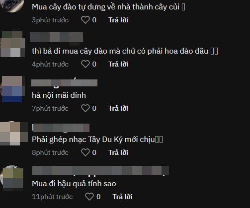 Phía dưới đoạn clip được chia sẻ trên TikTok cư dân mạng bình luận nhiệt tình, hầu hết tỏ ra khó hiểu với cô gái này. Ảnh: Chụp màn hình