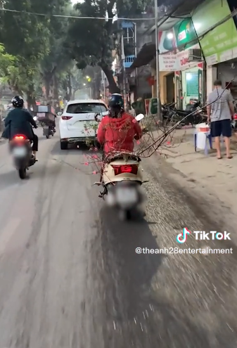 Để chuẩn bị cho Tết nguyên đán cô gái "ninja" này sắm sửa cho gia đình cây đào trưng Tết, tuy nhiên cách đặt cây đào nằm chắn ngang và lưu thông trên đường đã gây ra nhiều cảnh éo le. Ảnh: Chụp màn hình