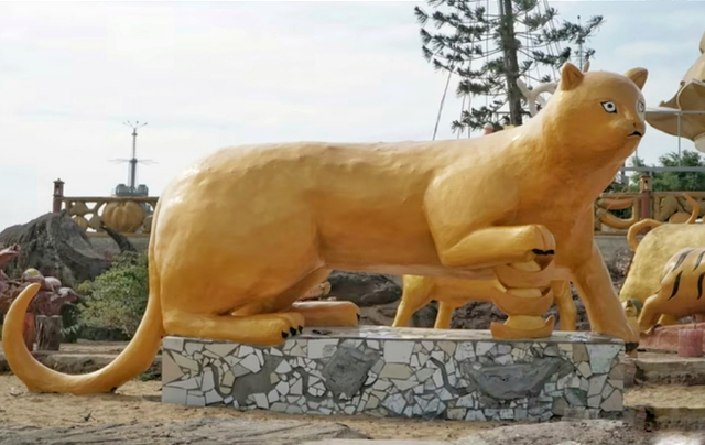 Dù không phải "Hoa khôi" trong làng linh vật mèo nhưng những chú mèo này rất ngộ nghĩnh.