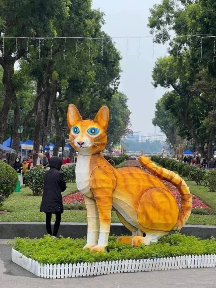 Thân hình gầy gò, ánh mắt hoang mang vô độ, chú mèo như đi lạc giữa công viên Thống Nhất - Hà Nội.