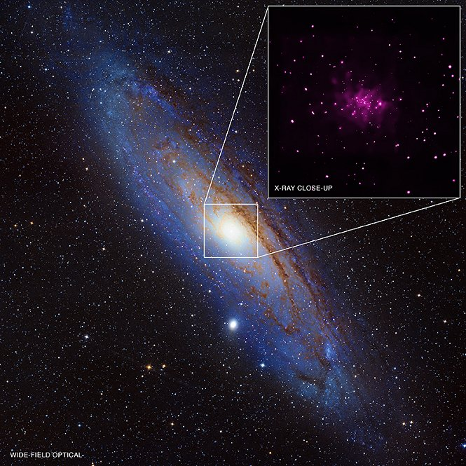 Điều này chỉ ra rằng rõ ràng Andromeda đã nuốt chửng một thiên hà nào đó và cướp lấy những ngôi sao này. Hành vi này có thể giải thích là do sự hợp nhất của 2 lỗ đen siêu khối đều từng là lỗ đen trung tâm của thiên hà.