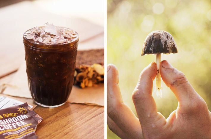 2. Cà phê nấm. Nhà sản xuất cà phê nấm Four Sigmatic hứa hẹn về một dòng sản phẩm độc lạ, tăng cường năng lượng và hệ miễn dịch. Cà phê nấm nên được uống vào buổi sáng và trước khi tập luyện. Tuy nhiên, những người từng uống cà phê loại này lại cho rằng, họ cảm nhận thấy vị trà và cà phê nhiều hơn và không thấy có vị nấm nào.