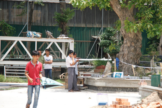 Khu vực bên trong sân Công ty chế biến gỗ Quốc Anh. Ảnh: Bùi Liêm - Tuổi Trẻ.