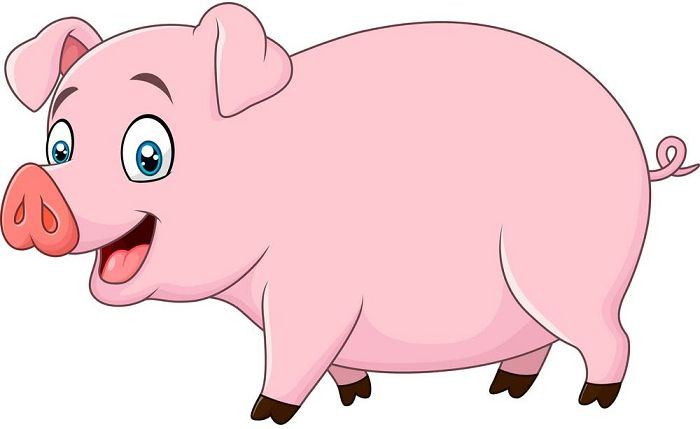 Trong 60 ngày tới, nhờ có sao Hồng Loan chiếu mệnh Hợi sẽ phát tài phát lộc, sung túc đủ đầy. Nếu đang có ý định mở rộng kinh doanh hay lấn sân sang lĩnh vực mới thì đây chính là thời cơ nghìn năm có một để Hợi sẽ có cả đời hưởng vinh hoa phú quý. Đặc biệt, với những người tuổi Hợi có đôi có cặp thì trong thời gian tới trong nhà rất có thể có tin vui hỷ tín.