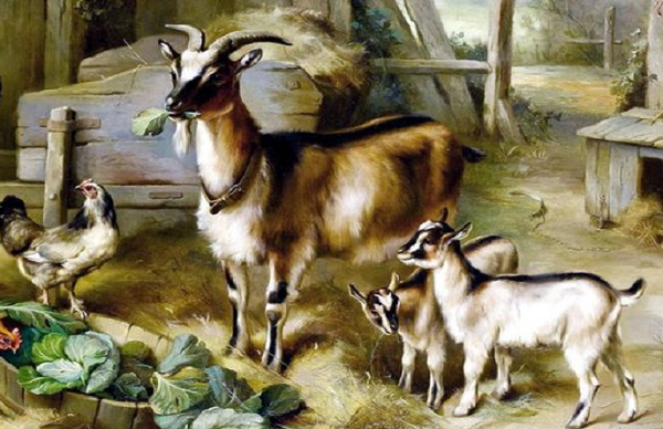 Họ tuy có vẻ ngoài giản dị và không mấy nổi bật nhưng lại có vượng vận quý nhân. Vì có quý nhân phù trợ nên cuộc đời của họ gặp khá nhiều may mắn.