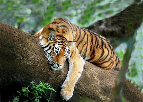 Trong tình cảm, sau khi trải qua khoảng thời gian mâu thuẫn, cãi vã thì giờ là lúc mà hai người hiểu nhau hơn và gắn kết với nhau hơn.