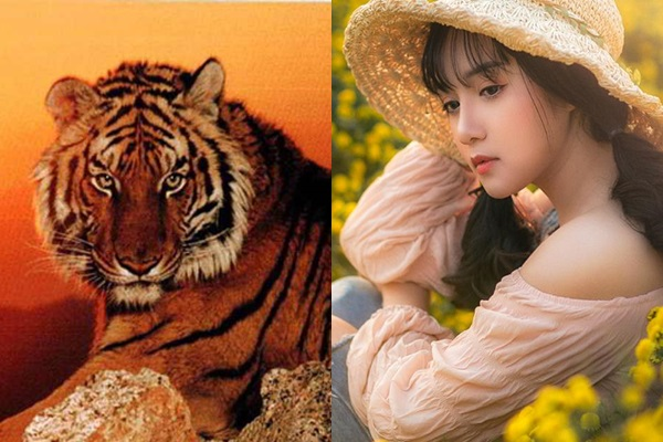Họ là những người có mệnh phú quý vậy nên cuộc sống và sự nghiệp của người tuổi Dần đều gặp nhiều thuận lợi. Không chỉ vậy họ còn đem lại may mắn cho nửa kia. Bước vào hậu vận, cuộc sống của họ càng sung túc, đầy đủ, giàu có. (*Thông tin chỉ mang tính tham khảo, trắc nghiệm vui).
