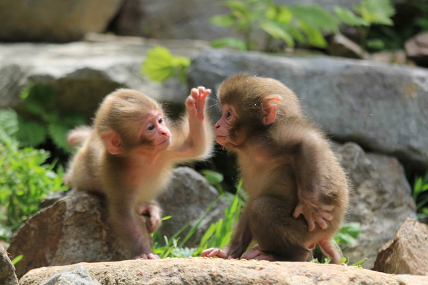Bản mệnh còn có khả năng mua nhà mới hoặc ít nhất là lên đời theo một cách nào đó.