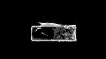 Ở một quan tài, ảnh scan cho thấy phần hộp sọ nguyên vẹn hoàn toàn của loài thằn lằn tương tự họ thằn lằn sống ở Bắc Phi ngày nay. Hai quan tài khác chứa mảnh vỡ xương động vật quấn vải lanh.