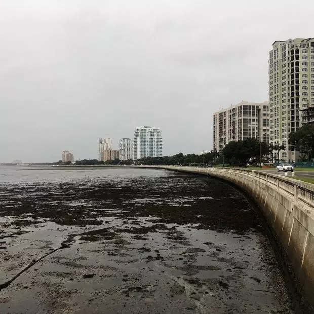 Từ video được người dân đăng tải, có thể thấy các bãi biển trải dài bị cạn đáy sau khi nước rút nhanh, một hiện tượng hiếm gặp trước những cơn bão bất thường.