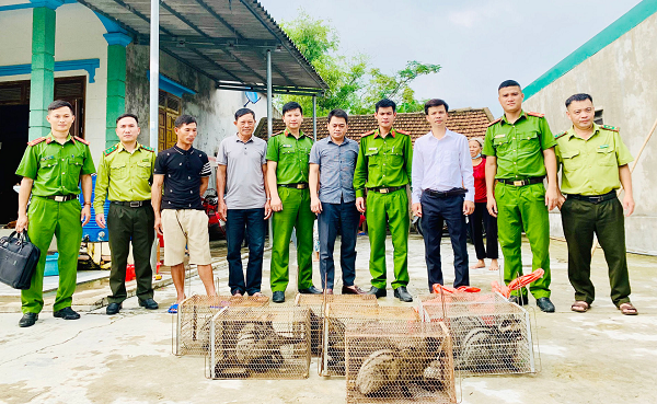 Quá trình kiểm tra cho thấy, anh Nguyễn Tiến Vinh không xuất trình được chứng từ liên quan đến nguồn gốc cũng như việc cấp phép nuôi nhốt loài động vật hoang dã này.