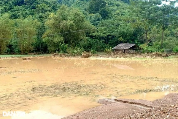 Mưa lũ đã gây thiệt hại nặng nề đối với sản xuất của người dân xã Hữu Lập (Ảnh: N.D).