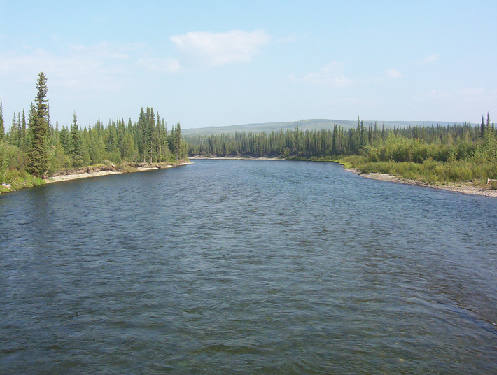 Dòng sông Klondike, nằm ở vùng Yukon của Canada, không chỉ là một dòng sông bình thường mà còn là biểu tượng của một thời kỳ lịch sử đầy biến động và hy vọng. (Ảnh:Wikipedia)
