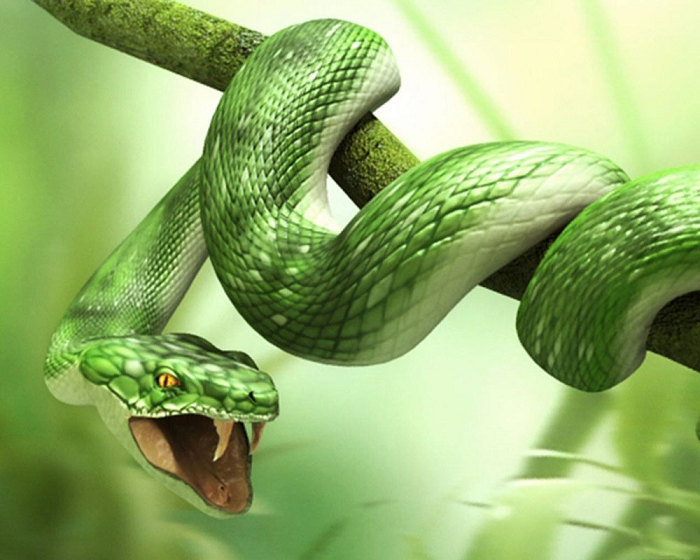 Eupodophis cũng chưa phải là loài rắn cổ nhất thế giới. “Loài rắn cổ nhất từng được con người phát hiện có niên đại cách đây từ 112 đến 94 triệu năm, và con rắn này sống cách đây khoảng 90 triệu năm”, Houssaye cho biết.