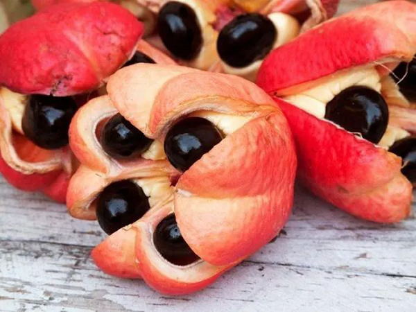 Xếp đầu tiên trong bảng xếp hạng là trái Ackee, có nguồn gốc từ khu vực nhiệt đới vùng Tây Phi. Trái sẽ chuyển màu từ xanh sang vàng cam khi chín và sẽ tách ra làm 3 phần. Mỗi quả nặng khoảng 100 - 200g, hương vị vô cùng thơm ngon trừ phần đen có độc.