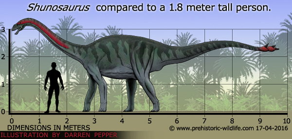 Các nhà cổ sinh vật học đã phát hiện ra loài Shunosaurus ở Trung Quốc vào năm 1977, phân loại nó chính thức vào năm 1983.