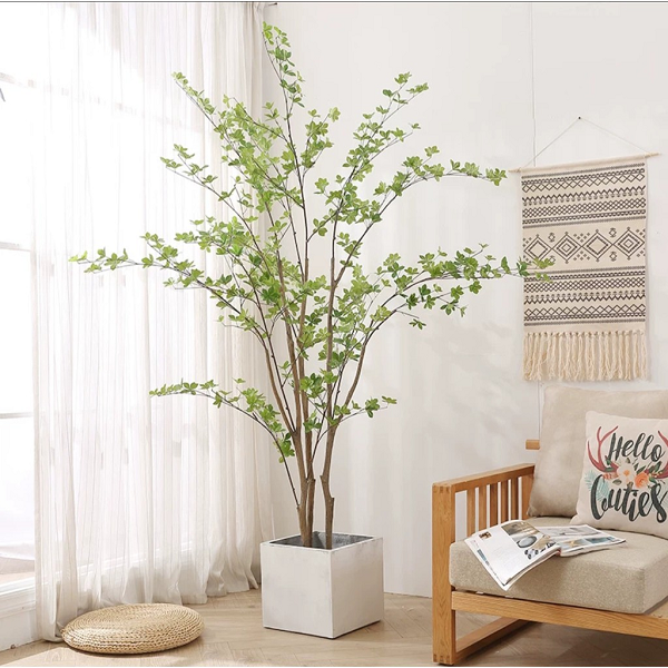 Gần đây, loài cây xanh ngắt nhiều lá có tên thạch nam được hội chị em ráo riết săn lùng để trang trí trong nhà tạo cảm giác mát mẻ. Đặc biệt, dù là cành thì chỉ cần cắm nước cũng chơi được cả tháng.