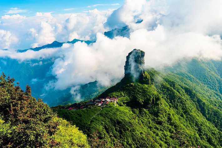 Cá đắng, một loài cá đặc biệt chỉ có ở Hoàng Liên Sơn, dãy núi được mệnh danh là "nóc nhà Đông Dương", đã trở thành một biểu tượng văn hóa và thực phẩm quý hiếm.