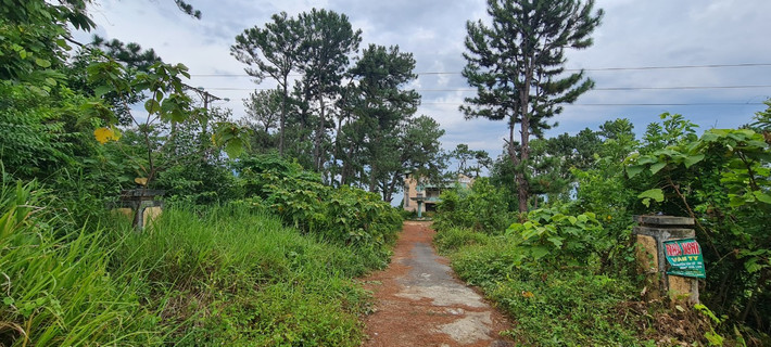 Cách trung tâm thành phố Đà Nẵng tầm 20km, trên con đường quanh co dẫn lên đèo Hải Vân - ranh giới giữa Đà Nẵng và Thừa Thiên Huế, có một đường mòn nhỏ cỏ dại phủ gần kín lối đi, dẫn vào một ngôi nhà hoang.