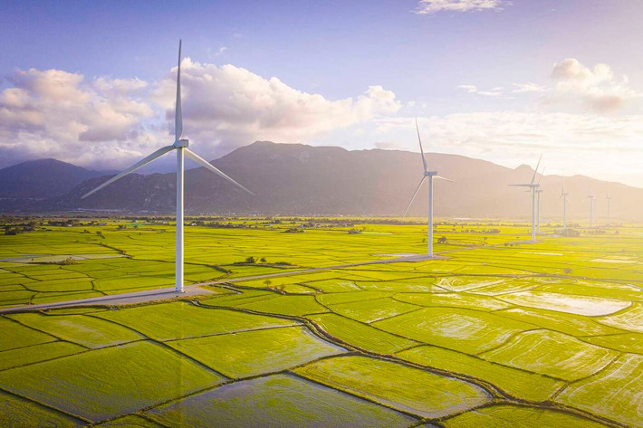 Cánh đồng điện gió Đầm Nại cách Thành phố Phan Rang - Tháp Chàm khoảng 20 km về hướng Bắc. Đây là một địa điểm được nhiều bạn trẻ chọn check-in khi du lịch Ninh Thuận.