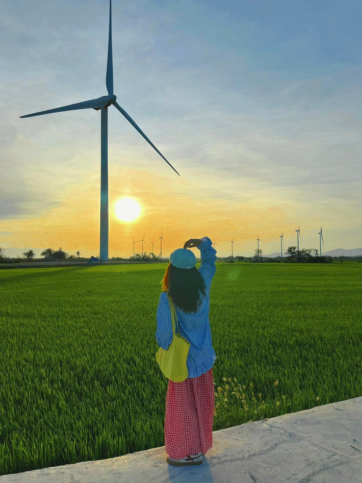 Nhìn những cánh quạt gió khổng lồ quay đều giữa thiên nhiên mênh mông, ta mới thấy cảnh sắc Việt Nam chẳng hề thua kém những địa điểm hot trend quốc tế như Đại Lý (Trung Quốc).