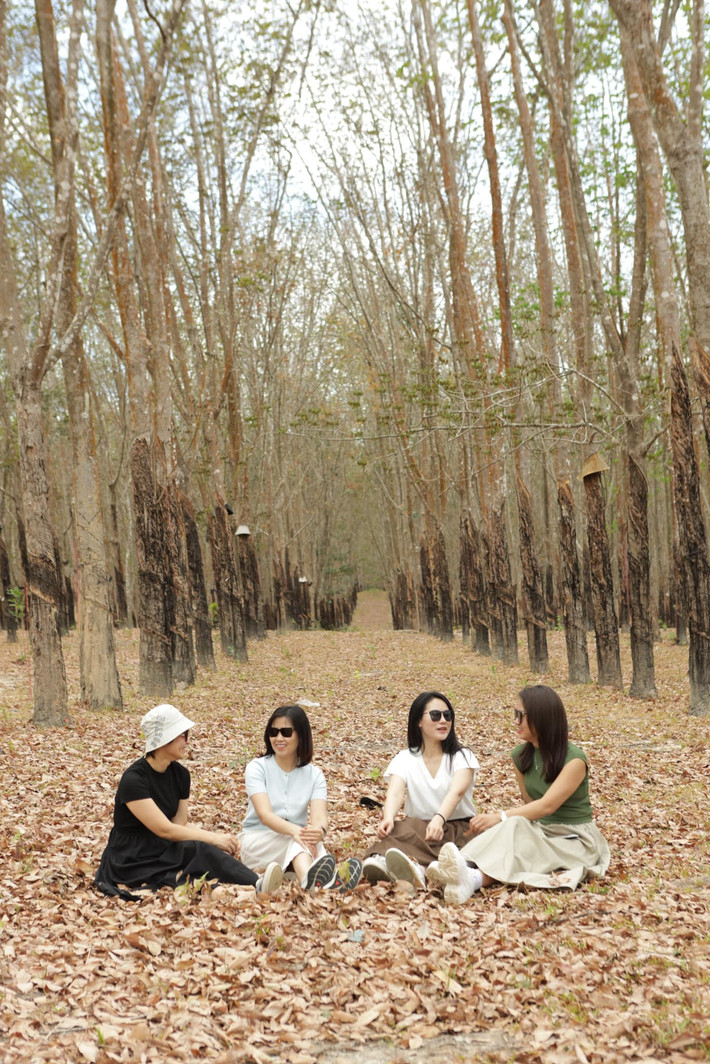 Sắc vàng, sắc đỏ của những hàng cây cà chít, cẩm liên, dầu đồng... như càng rực rỡ hơn trong ánh nắng và màu xanh thẳm của bầu trời. Ảnh Thuy Vinh