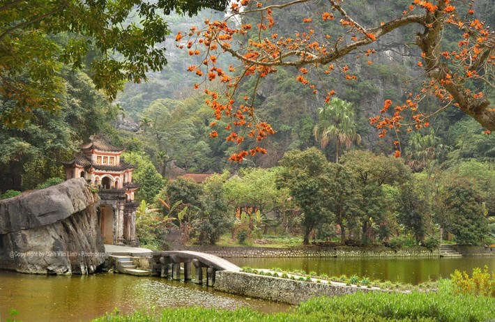 Nằm nép mình giữa vùng đất linh thiêng Ninh Bình, chùa Bích Động được xây dựng từ thời Hậu Lê, với kiến trúc chùa trong hang động độc đáo. Ngôi chùa mang đậm dấu ấn thời gian, với những mái ngói rêu phong, hệ thống tượng Phật uy nghiêm và cảnh sắc thiên nhiên hùng vĩ.