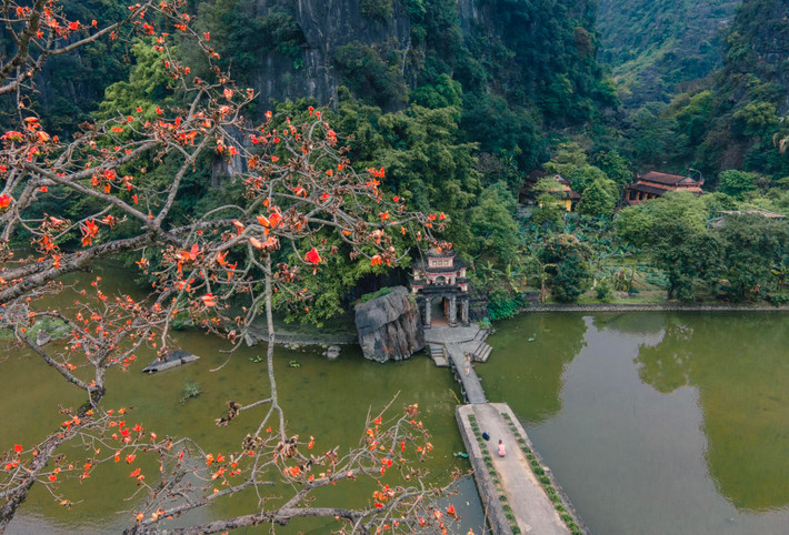 Mùa hoa mộc miên ngắn ngủi nhưng để lại những ấn tượng sâu sắc trong lòng mỗi người. Đó không chỉ là một mùa hoa, mà còn là một phần ký ức đẹp về quê hương, về những giá trị văn hóa truyền thống còn mãi với thời gian. Ảnh Internet