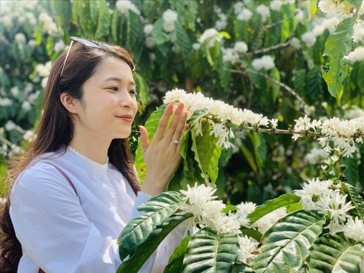 Các điểm ở Gia Lai: Ia Grai, Ia Pa, Krông Pa, Biển Hồ, đường đi tới núi lửa Chư Đăng Ya. Ảnh Internet