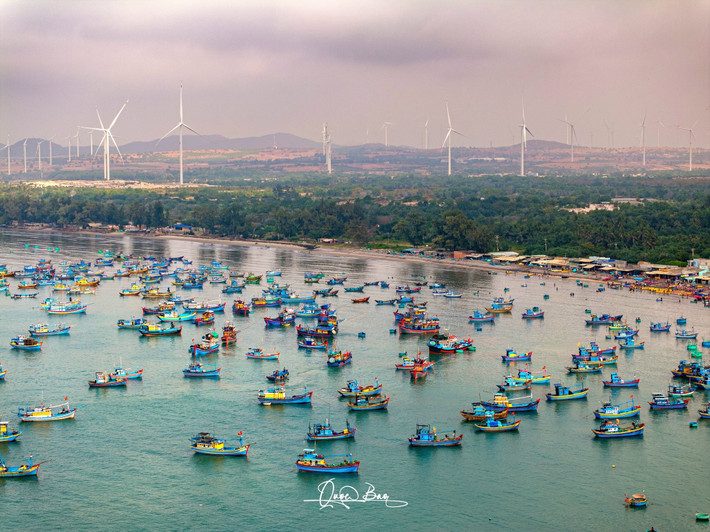 Mặt nước lấp lánh ánh nắng, phản chiếu hình ảnh của một khu chợ cá sôi động, nơi ngư dân và thương lái tất bật trao đổi, mua bán hải sản tươi ngon vừa được đánh bắt.