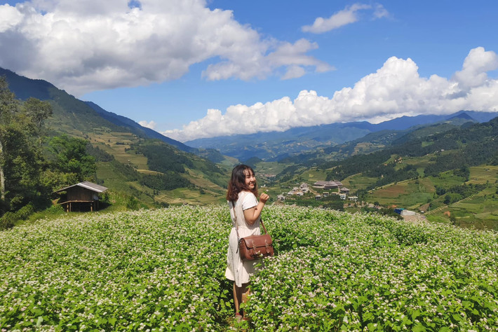 Mỗi mùa hoa tam giác mạch đến, Mù Cang Chải lại được nhiều người săn đón để có cơ hội ngắm hoa nở rộ. Ảnh: Nguyễn Khánh Hoàng Anh