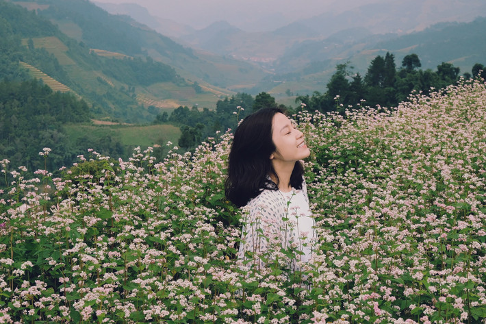 Như vậy, đến Mù Cang Chải mùa này bạn vừa có thể ngắm mùa lúa chín, vừa ngắm cánh đồng hoa tam giác mạch tím hồng đẹp nên thơ. Ảnh: Tram Nguyen