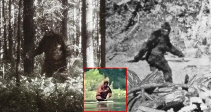 Người quay video không dám khẳng định đó chính là Bigfoot, nhưng thừa nhận có sự giống nhau, đặc biệt khi sinh vật có vẻ đang ôm theo một đứa trẻ sơ sinh. Mặc dù clip không rõ nét, nhưng nó vẫn đánh dấu một sự kiện gây sốc, củng cố niềm tin vào sự tồn tại của Bigfoot.