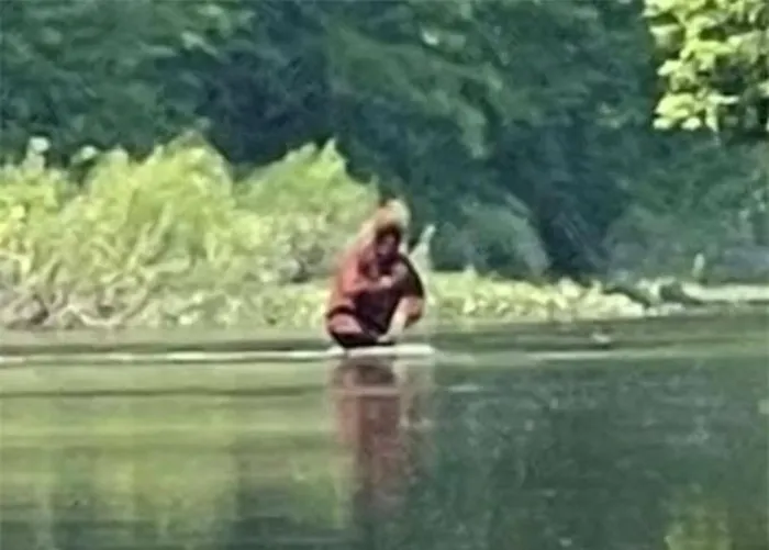 Nhiều hình ảnh lan truyền trên mạng xã hội cố gắng chứng minh sự tồn tại của Bigfoot, nhưng đoạn video được ghi lại tại sông Cass, Michigan vào năm 2021, được coi là một trong những bằng chứng rõ ràng nhất.