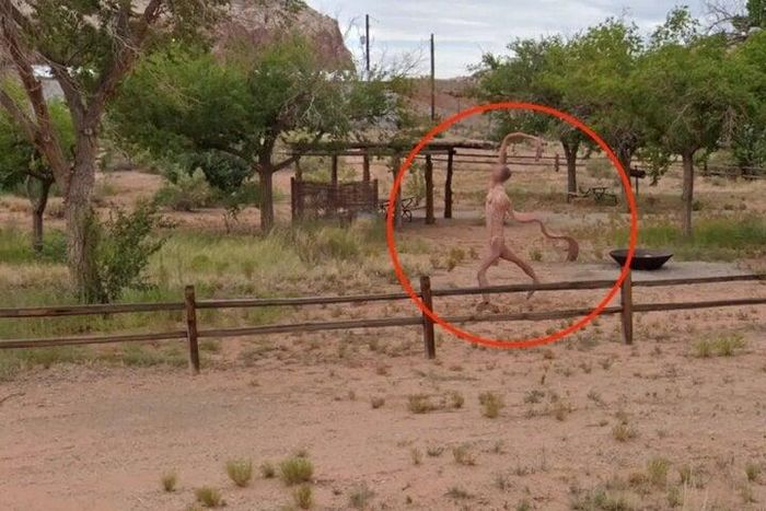 Trên địa bàn tiểu bang Utah, Mỹ, một sinh vật kỳ lạ với thân thể trần trụi và chi thon dài được phát hiện gần Trung tâm Du khách Bears Ears ở Buff.