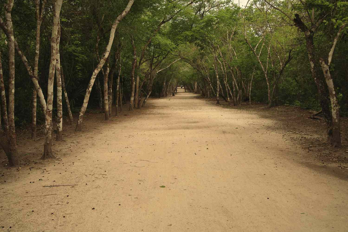 Công trình này không chỉ là một minh chứng về kiến trúc tinh tế của người Maya mà còn là bằng chứng về sự phồn thịnh trong hoạt động giao thương giữa Uxmal và Kabah.