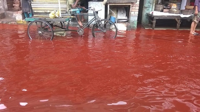 Mặc dù không mang tính siêu nhiên, hiện tượng này là một cảnh báo về ảnh hưởng tiêu cực của con người đối với môi trường.