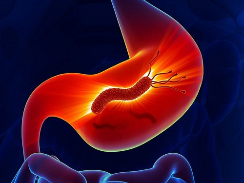 Nếu thấy cơn đau dạ dày hành hạ, bạn hãy dùng một chút gừng tươi đun với nước nóng để cho ấm rồi uống triệu chứng này sẽ nhanh chống giảm đi. Để hỗ trợ chứng đầy hơi của dạ dày, bạn có thể thường xuyên sử dụng loại nước uống này. Ảnh: gastimunhp.