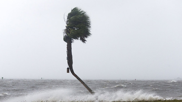 Theo Trung tâm Bão Quốc gia (NHC), sau khi đổ bộ vào Florida, bão Michael tiến về phía tây – tây nam Albany Georgia, duy trì sức gió hơn 160 km/h. Ảnh: AFP.