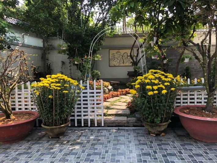 Ngoài ra còn có hoa cúc, hoa lan... và các loại cây bonsai.