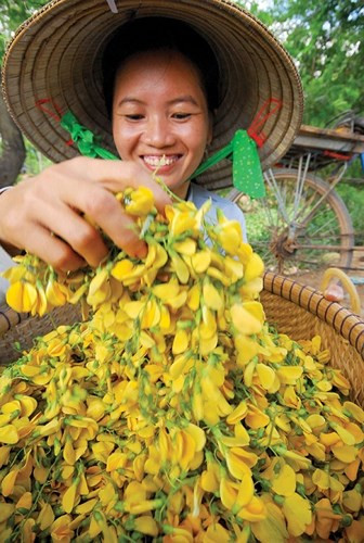 Bông điên điển được bán với giá 30.000 - 40.000 đồng/kg, rất hút hàng. (Ảnh: Báo Hậu Giang)